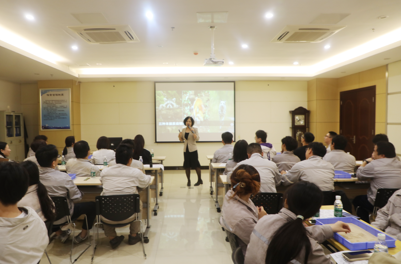 1763358217974552_d6c2e0284bd0f57b5a0b7fbc3309fef7.png 1763358217974552_d6c2e0284bd0f57b5a0b7fbc3309fef7.png